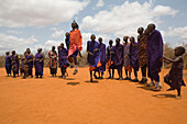 Eine Gruppe Massai Männer beim Tanz, Tsavo, Kenia, Afrika