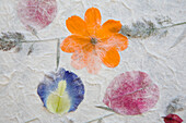 Handmade paper with blossoms, handicraft at Luang Prabang, Laos