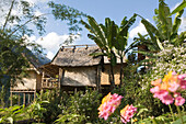 Huts on stilts behind flowers and trees, Fishing village Muang Ngoi Kao, Luang Prabang province, Laos