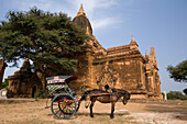 Pferdekutsche vor Pagode in Bagan, Myanmar, Burma