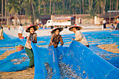 Frauen trocknen Fisch am Strand in einem Fischerdorf bei Ngapali Beach, am Golf von Bengalen, Rakhine-Staat, Myanmar, Burma