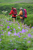 Zwei Frauen wandern über Blumenwiese, Allgäuer Alpen, Bayern, Deutschland