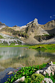 Unterer Seewisee nahe Memminger Hütte mit Blick auf Seeköpfle, Lechtaler Alpen, Tirol, Österreich