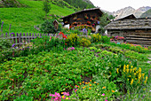 garden of farmhouse and restaurant Jägerrast, valley Pfossental, Texelgruppe range, Ötztal range, South Tyrol, Italy