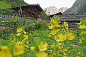 Garden and alpine lodge, valley Pfossental, Texel range, Oetztal range, South Tyrol, Italy
