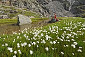 Woman resting near a creek and meadow with cotton grass, Stubai Alps, Stubai, Tyrol, Austria