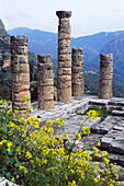 Sanctuary of Apollo (4th century B.C.), Mount Parnassus, Delphi. Greece