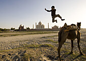 Boy jumping from camel with Taj Mahal in background, Agra. Uttar Pradesh, India