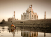 Camel drinking at Yamuna River with Taj Mahal in background, Agra. Uttar Pradesh, India