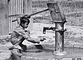 Boy pumping water from well, Allahabad. Uttar Pradesh, India