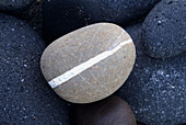 Rock in Laga beach, Urdaibai Biosphere Reserve. Biscay, Euskadi, Spain