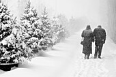 Couple walking in a winter snow storm, Montreal, Quebec, Canada