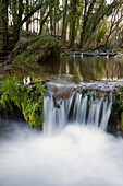 Natural Monument waterfalls of Huesna. Sierra Morena. Natural Park of 'Sierra Norte'. Spain.