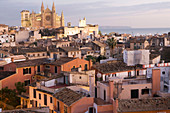 Kathedrale La Seu, Palma de Mallorca. Mallorca, Balearische Inseln. Spanien