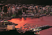 Wellington. North Island, New Zealand