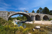 Eselwanderung über die Brücke Pont du Tarn im Cevennen Nationalpark, Frankreich