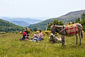 Family while they are taking a break on a family-hiking tour with a donkey in the Cevennes mountains, France