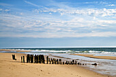Buhnen am Strand, Rantum, Sylt, Nordfriesland, Schleswig-Holstein, Deutschland