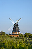 Windmill, Borgsum, Foehr island, Schleswig-Holstein, Germany