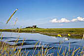 Blick auf Kirchwarft, Hallig Hooge, Schleswig-Holstein, Deutschland