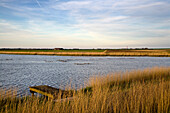 Landschaft im Inselinneren, Pellworm, Nordfriesland, Schleswig-Holstein, Deutschland