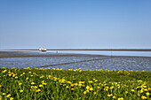 Ferry near Nordstrand, Schleswig-Holstein, Germany