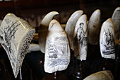 Walzähne im Scrimshaw Museum, Horta, Insel Faial, Azoren, Portugal