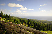 Blick vom Pico do Carvao, Westteil der Insel Sao Miguel, Azoren, Portugal
