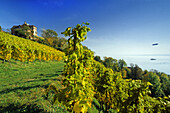 Mansion in the vineyards near Meersburg, Lake Constance, Baden-Wurttemberg, Germany