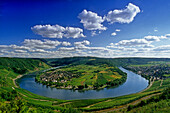 View from the vineyards to Mosel sinuosity near Kroev, Mosel, Rheinland-Palatinate, Germany