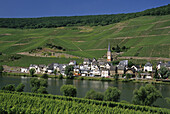 View over Mosel river to Zell-Merl with vineyards, Mosel, Rhineland-Palatinate, Germany