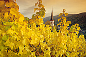 Blick aus den Weinbergen auf den Kirchturm St. Martin, Ediger-Eller, Rheinland-Pfalz, Deutschland