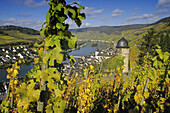 Rounded tower between vineyards near Zell, Rhineland-Palatinate, Germany