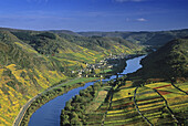View at Mosel valley near Ediger-Eller, Mosel, Rhineland-Palatinate, Germany