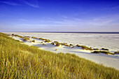 Dunes at Kniepsand beach, Amrum island, Schleswig-Holstein, Germany