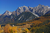 Herbstlich verfärbte Birken mit Blick auf Schloss Tarasp, Piz Lischana und Piz San Jon, Unterengadin, Engadin, Graubünden, Schweiz
