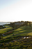 Blick über den Golfplatz des Arabella Western Cape Hotel & Spa, Hermanus, Westkap, Südafrika, Afrika