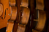 Nahaufnehme von Geigen, Werkstatt von Bruce Carlson, Geigenbauer, Cremona, Lombardei, Italien