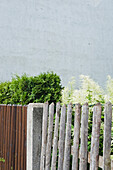Garden fence with hedge, Neuhausen, München, Bavaria, Germany