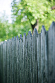 Weathered wooden fence