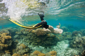 Snorkeling at Bikini Atoll, Marshall Islands, Bikini Atoll, Micronesia, Pacific Ocean