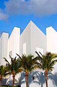 Palmen vor der Fassade des Miami Children’s Museum, Macarthur Causeway, Miami, Florida, USA