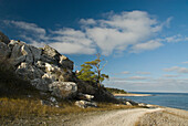 Küstenlandschaft in der Nähe von Heligholmen, Ostküste, Gotland, Schweden, Skandinavien, Europa