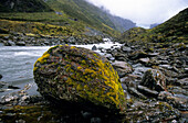 Ein moosbewachsener Stein vor dem Dart River im oberen Dart Valley, Mt Aspiring Nationalpark, Südinsel, Neuseeland, Ozeanien