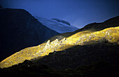 Abendstimmung im oberen Dart Valley, Mt Aspiring Nationalpark, Südinsel, Neuseeland, Ozeanien