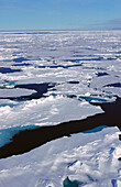 Spitsbergen, Svalbard. Norway