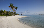 Maldives. South Male Atoll.