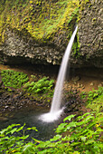 Ponytail Falls, Columbia River Gorge National Scenic Area, Oregon, USA