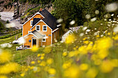 Maison Blanchet (Historic house) and roadside wildflowers along Gulf of St. Lawrence. Gaspésie, Quebec, Canada