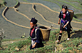 Black Hmong minority women near Sapa, Lao Cai Province, Vietnam